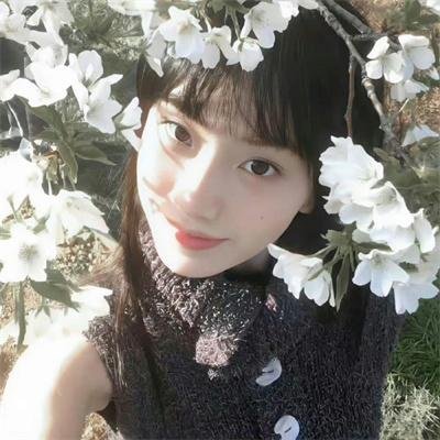阿蒙与橡树